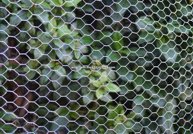 HEXAGONAL WIRE MESH